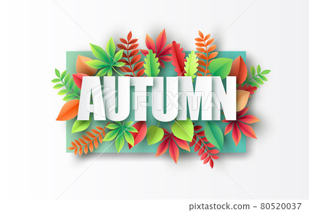 Autumn maple leaves on background. 80520037