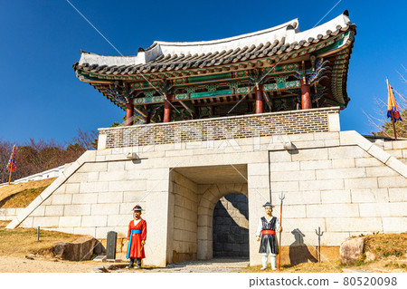 Castle gate 80520098