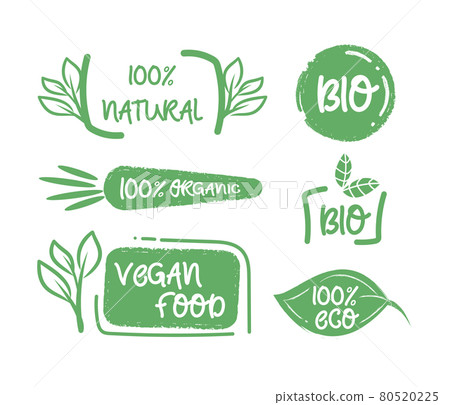 Organic food labels. Vegan label and healthy foods badges vector set Organic food labels. Vegan label and healthy foods badges vector set 80520225