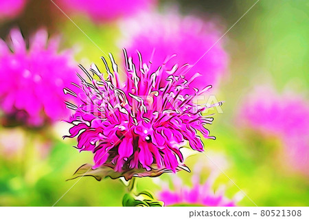 粉彩風格“佛手柑”插畫形象 粉彩風格“佛手柑”插畫形象 80521308