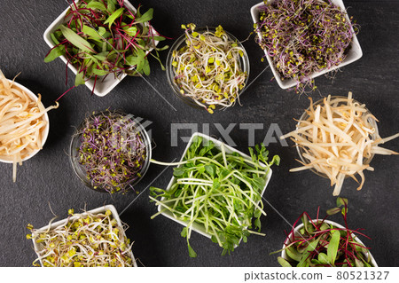 Mix of various sprouts on black background top view. Sprouted seeds. Healthy eating, detoxification. Mix of various sprouts on black background top view. Sprouted seeds. Healthy eating, detoxification. 80521327