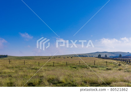 (Nagano Prefecture) Utsukushigahara Plateau Ranch (Nagano Prefecture) Utsukushigahara Plateau Ranch 80521862