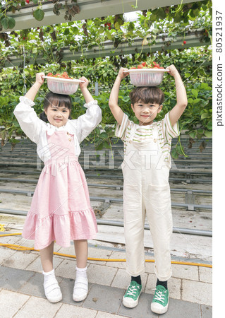 happy young Asian girl and boy with strawberry basket in farm happy young Asian girl and boy with strawberry basket in farm 80521937
