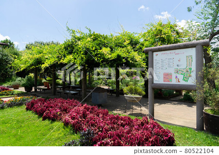 Flower Land 瀨田農業公園 東京都世田谷區 5 丁目 Flower Land 瀨田農業公園 東京都世田谷區 5 丁目 80522104