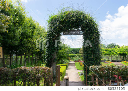 Flower Land 瀨田農業公園 東京都世田谷區 5 丁目 Flower Land 瀨田農業公園 東京都世田谷區 5 丁目 80522105