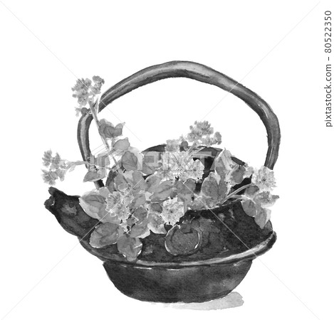 Ageratum monotone [ink painting style watercolor] white background material 80522350
