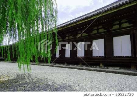 Rengeoin Sanjusangendo [國寶] / 京都府京都市 80522720