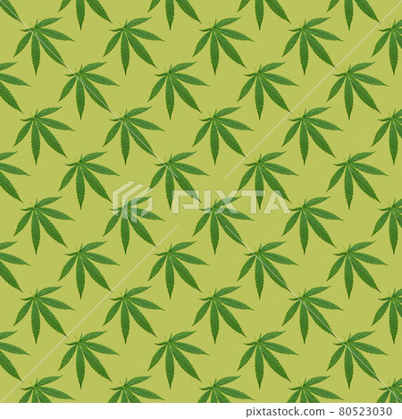 Hemp or cannabis leaves seamless pattern. 80523030