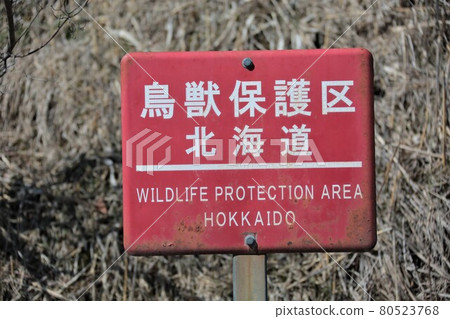 Wildlife sanctuary · Hokkaido 80523768