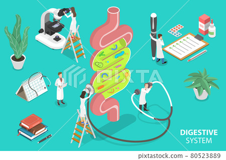 Human Gut Flora, Healthy Digestive System. 3D Isometric Flat Vector Illustration. Human Gut Flora, Healthy Digestive System. 3D Isometric Flat Vector Illustration. 80523889