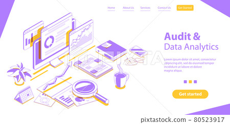 Audit Report and Data Analytics, Company Performance Analysis. Audit Report and Data Analytics, Company Performance Analysis. 80523917