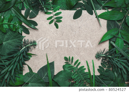 Natural frame made of different green leaves - Stock Photo [80524527 ...