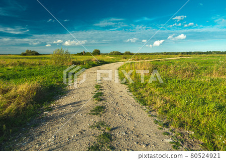 Gravel road and meadows Gravel road and meadows 80524921