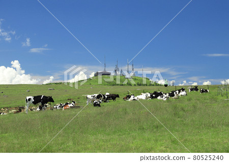 Utsukushigahara Kogen Beef Ranch 80525240