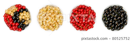 White, red and black currant berries in white bowls. White currant, redcurrant and blackcurrant berries. Fresh ripe and sweet spherical fruits of Ribes cultivars.Close-up from above, macro food photo. White, red and black currant berries in white bowls. White currant, redcurrant and blackcurrant berries. Fresh ripe and sweet spherical fruits of Ribes cultivars.Close-up from above, macro food photo. 80525752