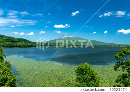 Summer scenery of Mt. Komagatake, Hokkaido 80525974