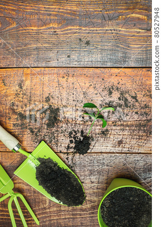 Ready for spring gardening 80527948