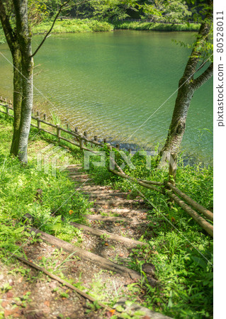 Wooden stairs and beautiful waterfront Wooden stairs and beautiful waterfront 80528011