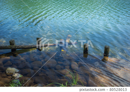 美麗的水邊風景 美麗的水邊風景 80528013