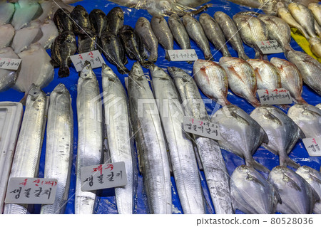 去魚市場購買新鮮的海鮮。 去魚市場購買新鮮的海鮮。 80528036