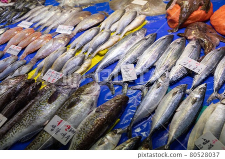 去魚市場購買新鮮的海鮮。 80528037