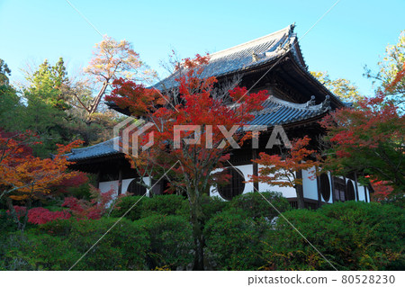 法福寺秋晨佛堂秋葉藍天總社岡山縣 法福寺秋晨佛堂秋葉藍天總社岡山縣 80528230