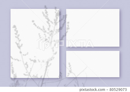 Mockup with plant shadows superimposed on 3 horizontal and vertical sheet of textured white paper on a violet table background Mockup with plant shadows superimposed on 3 horizontal and vertical sheet of textured white paper on a violet table background 80529073
