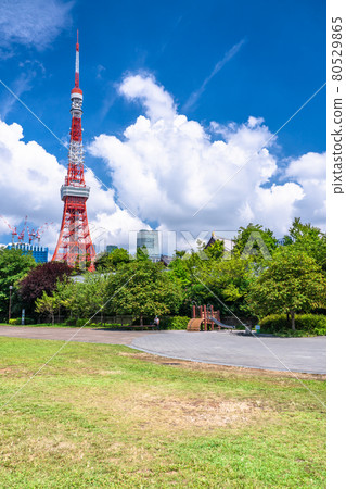 << Tokyo >> Shibakoen, Tokyo in the summer sky 80529865