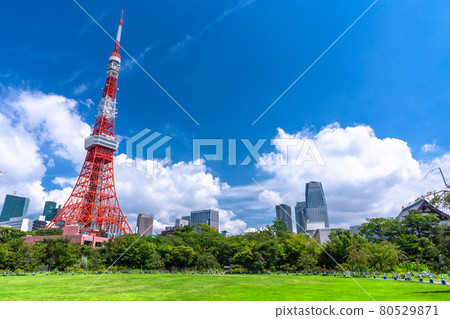 《東京》夏空的東京芝公園 《東京》夏空的東京芝公園 80529871