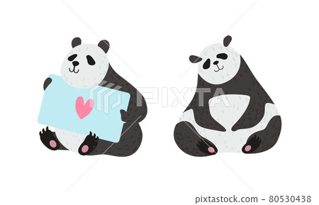 Panda Bear with Black-and-white Coat and Rotund Body Sitting and Holding Card Vector Set 80530438