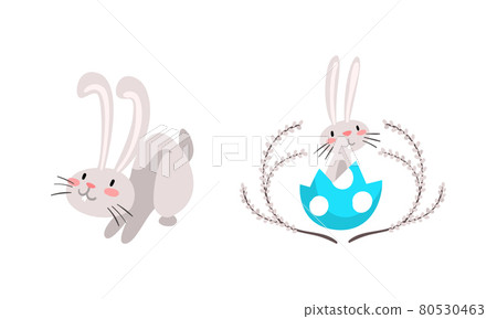 Funny Easter Bunny with Long Ears and Grey Coat Sitting in Cracked Egg Shell Vector Set 80530463