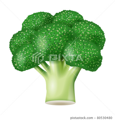 Broccoli illustration 80530480