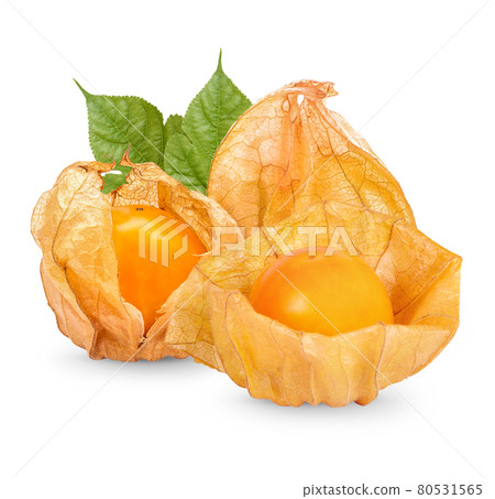 Cape gooseberry, physalis with leaves isolated on white background Cape gooseberry, physalis with leaves isolated on white background 80531565