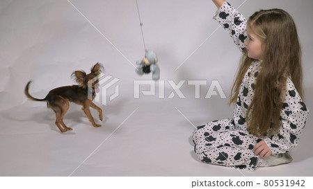 Girl playing with dog. The child is holding his favorite toy of dog. The dog are galloping after her. 80531942