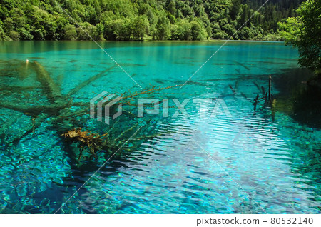 Juizhaigou (Nine Villages Valley) in Sichuan, China. Five Flower Lake with submerged trees. Juizhaigou is a popular tourist destination in China famous for its waterfalls, lakes and scenic beauty. 80532140