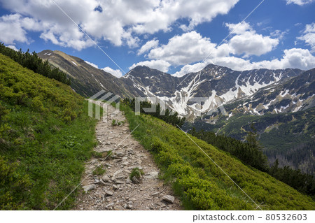 Slovak Western Tatras. View of the Rohace peaks. 80532603