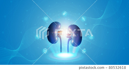 Human kidney and treatment with technology innovation. A concept hospital for wallpaper and web 80532618