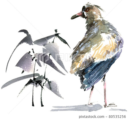 Watercolor exotic bird 80535256