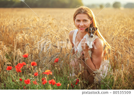 Young woman holding Jack Russell terrier puppy on her hands, sunset lit wheat field in background, some red poppy flowers in front. Young woman holding Jack Russell terrier puppy on her hands, sunset lit wheat field in background, some red poppy flowers in front. 80535509