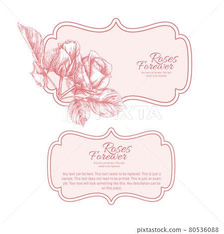 Set of face and back labels for products - Stock Illustration [80536088 ...