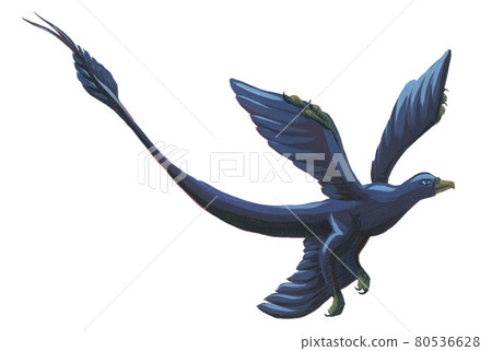 Hand drawn acrylic microraptor Hand drawn acrylic microraptor 80536628