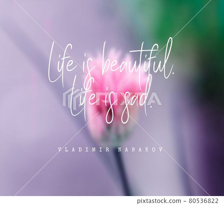 Quote by Vladimir Nabakov. Life is beautiful. Life is sad. 80536822
