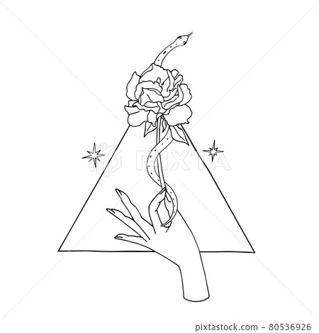 Vintage Mystic hand holding rose with a snake coiled around the flower with triangle on background Vintage Mystic hand holding rose with a snake coiled around the flower with triangle on background 80536926