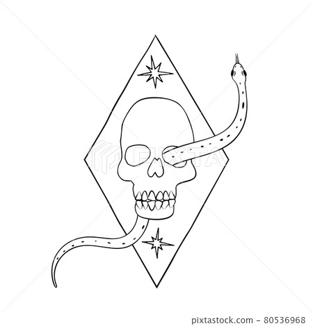 Vintage Mystic snake crawling out of the eye socket of the skull hand drawn Vintage Mystic snake crawling out of the eye socket of the skull hand drawn 80536968