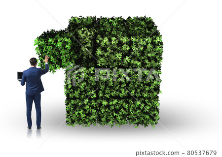 Businessman in green environment concept 80537679