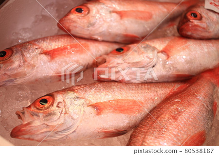 Ishikawa Prefecture's specialty, Nodoguro Ishikawa Prefecture's specialty, Nodoguro 80538187