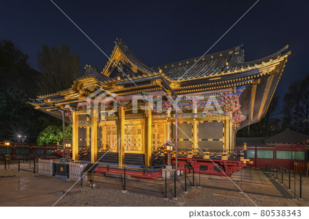 [Ueno, Tokyo] A night view of Ueno Toshogu Shrine shining in Ueno Onshi Park. 80538343