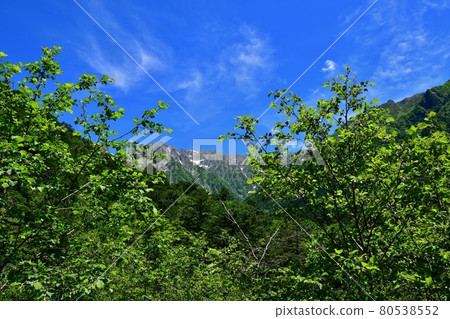 上高地 80538552