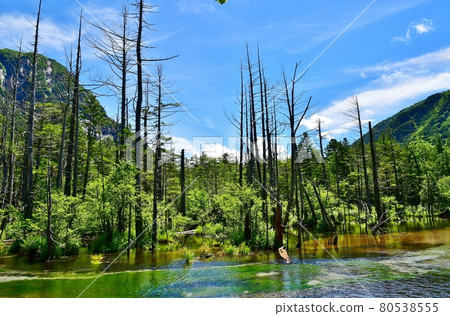 Kamikochi Kamikochi 80538555
