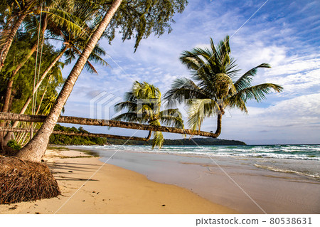 Klong Chao beach and its Double Palm Trees in koh Kood, Trat, Thailand 80538631